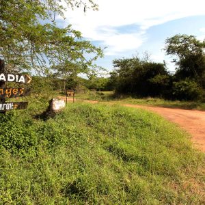 Arcadia-Cottages-Mburo