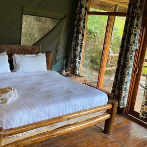 Rushaga Gorilla lodge 2