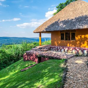 chimpanzee-forest-lodge-accommodation